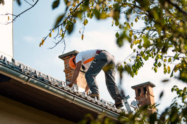 Quick and Trustworthy Emergency Roof Repair Services in White Mountain Lake, AZ